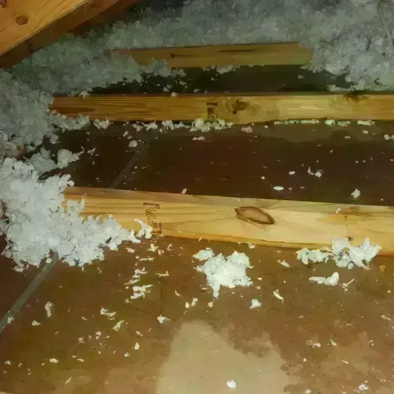 Attic Water Damage in Convent, LA